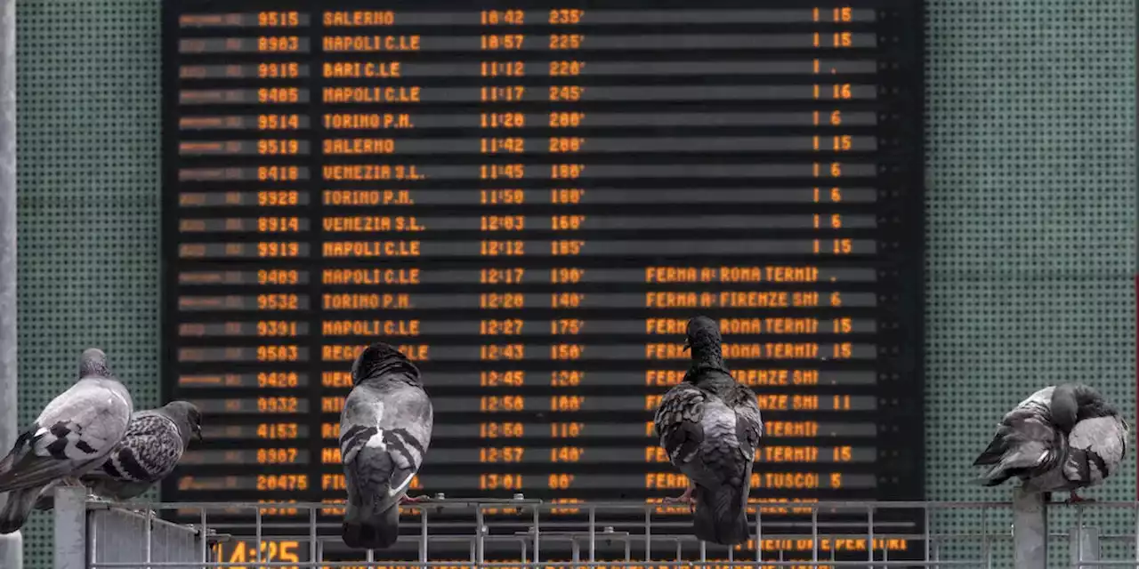 È stato confermato lo sciopero del personale di Trenitalia e Italo per giovedì 13 luglio, dopo che il ministro dei Trasporti Matteo Salvini aveva provato a farlo rientrare - Il Post