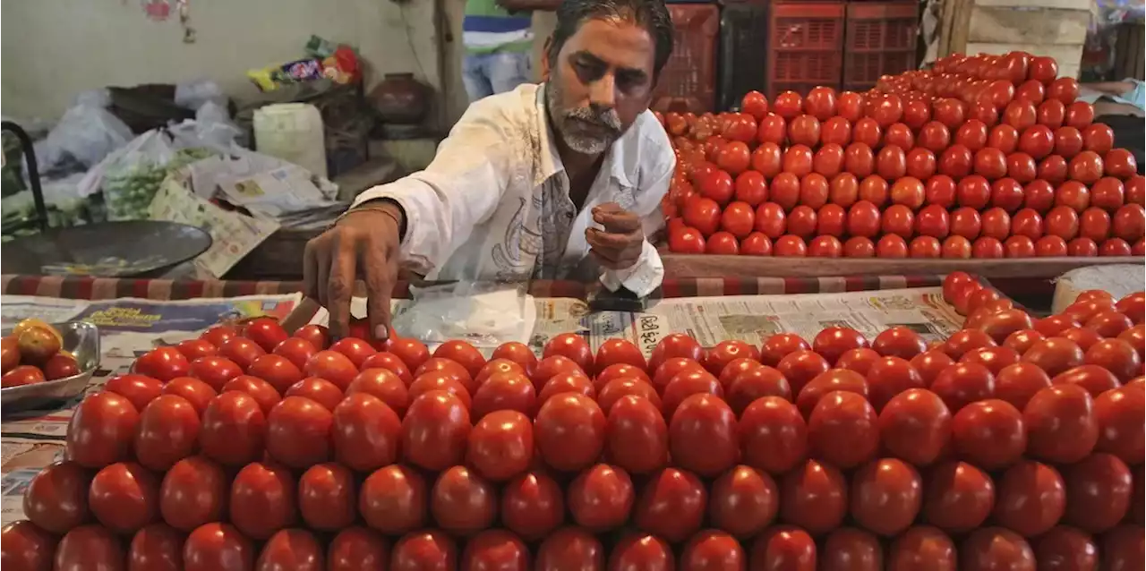 In alcune città indiane i pomodori sono diventati un bene di lusso - Il Post