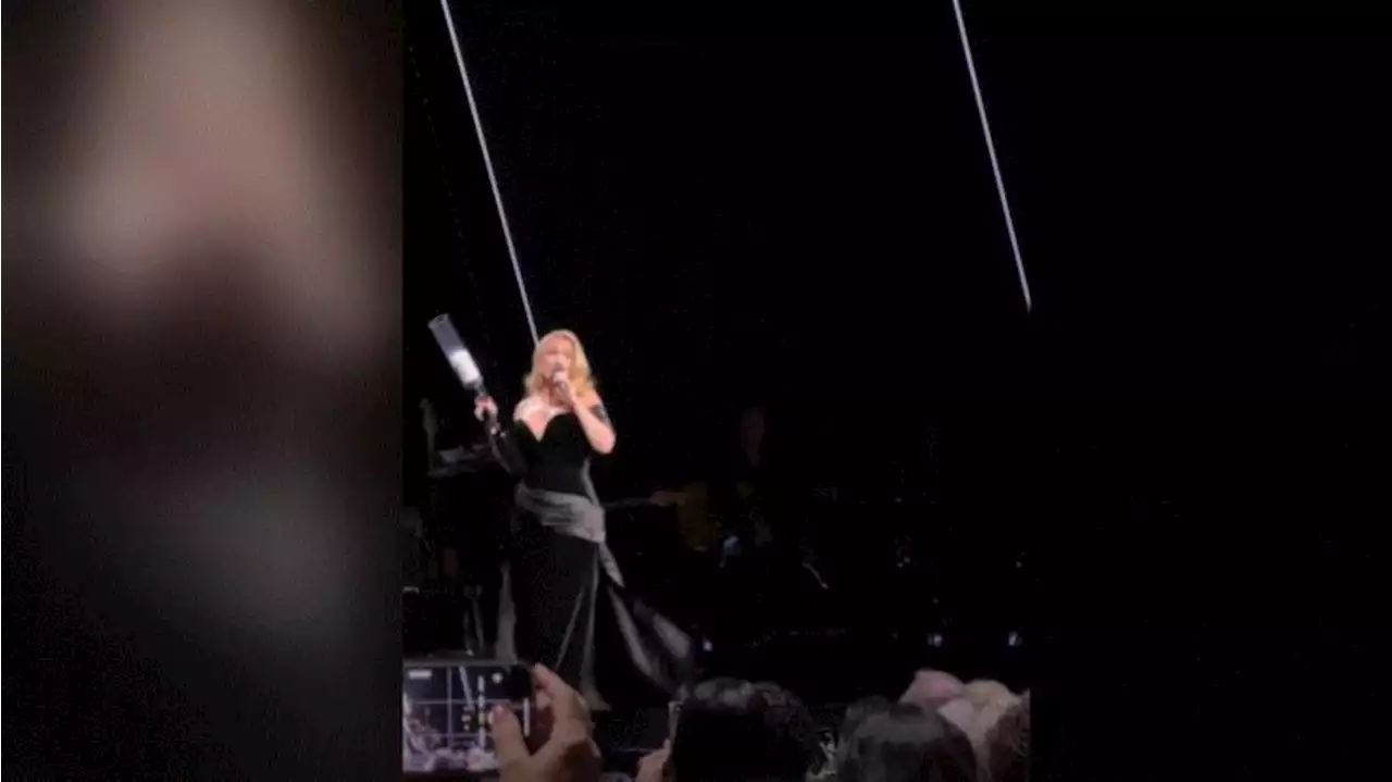 Adele amenaza con un arma de juguete: el miedo de los artistas a que les lancen objetos crece