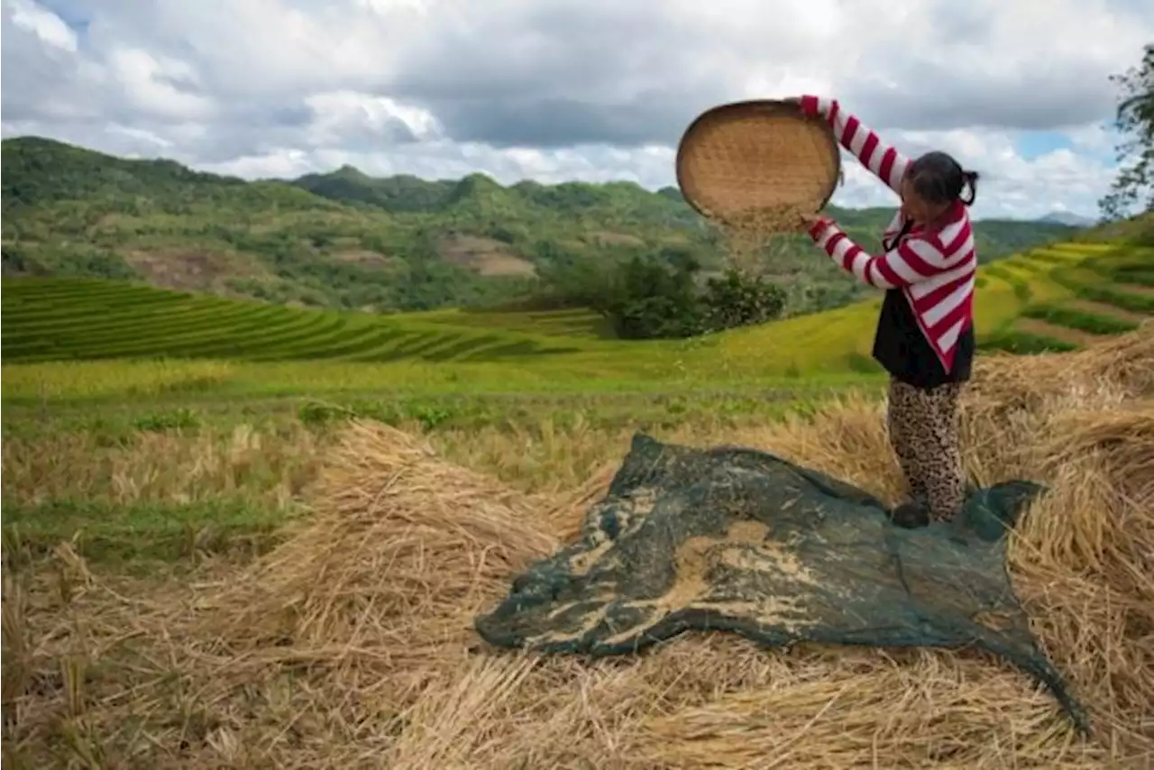 Economy to stay strong despite El Niño impact on agriculture