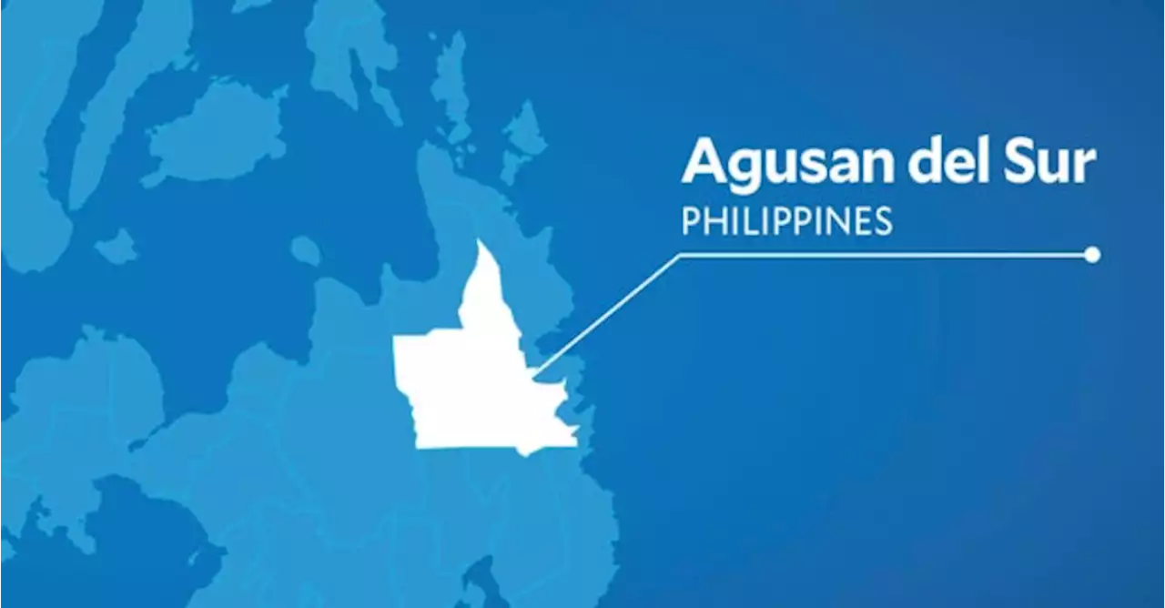 PSALM urged to allocate 15 MW to Agusan electric coop