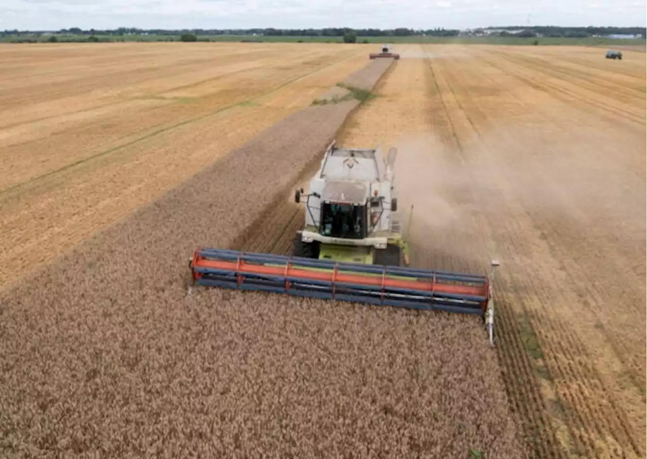 Russia’s threat to pull out of Ukraine grain deal raises fears about global food security