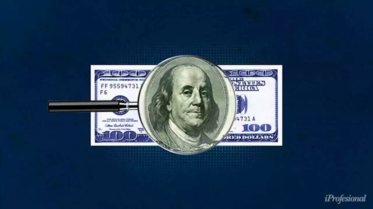 Dólar blue récord, casi a $ 500: ¿este precio es caro o barato?