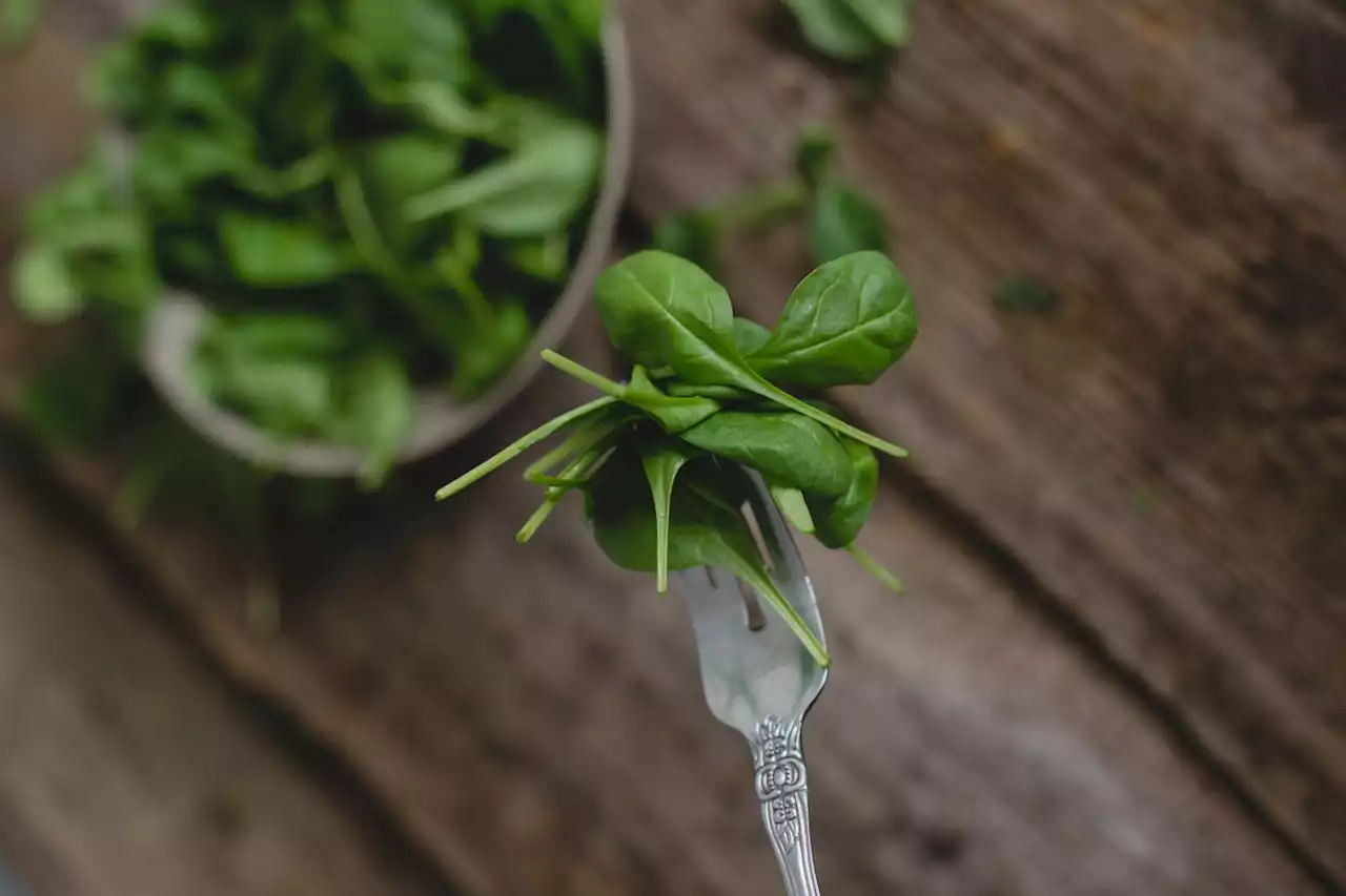 Os 10 alimentos que ajudam a melhorar a visão; veja a lista