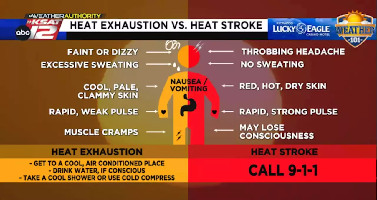 Heat Exhaustion Vs. Heat Stroke: The Symptoms To Look Out For