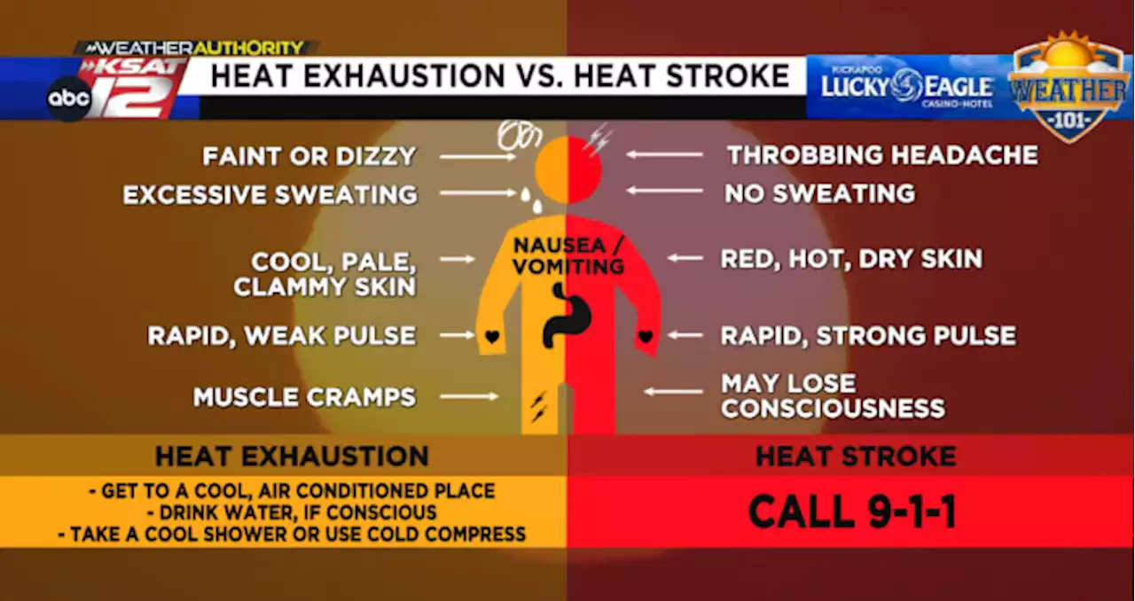 Heat exhaustion vs. heat stroke: The symptoms to look out for