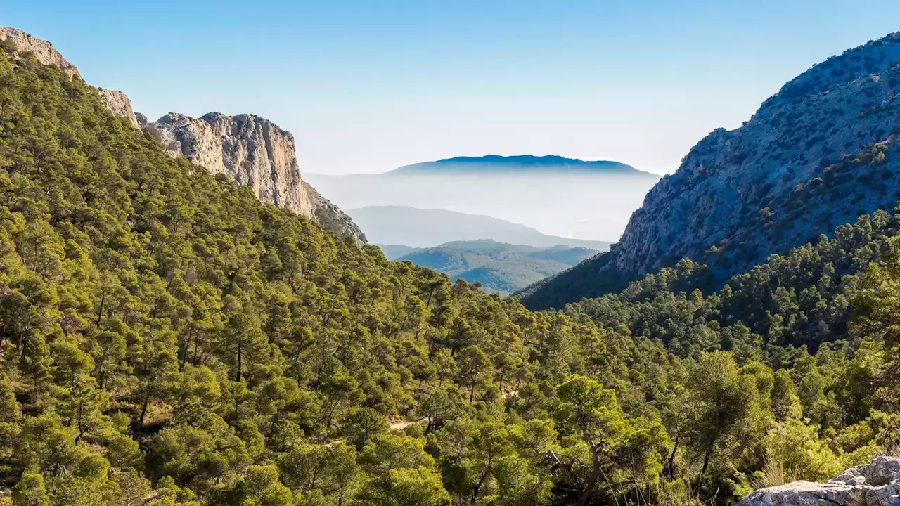 El Parlamento Europeo aprueba la ley de restauración de la naturaleza