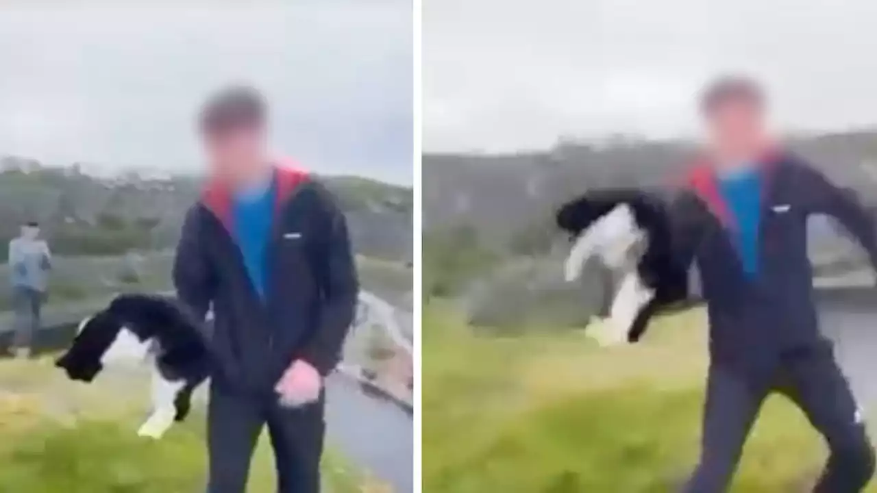 Shocking moment boy hurls cat off quarry ledge as it plummets hundreds of feet into water