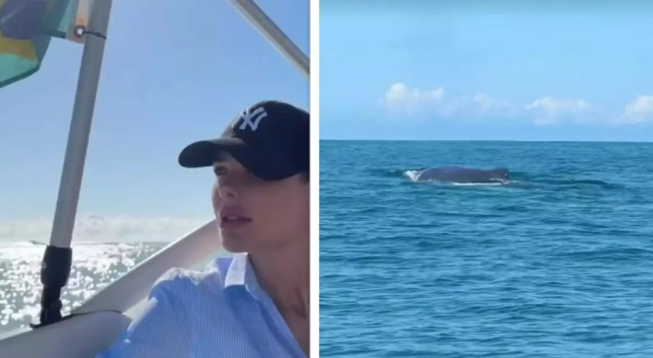 Ilary Blasi in barca, l'incontro choc con una balena in mare aperto: «Eccola, è enorme»