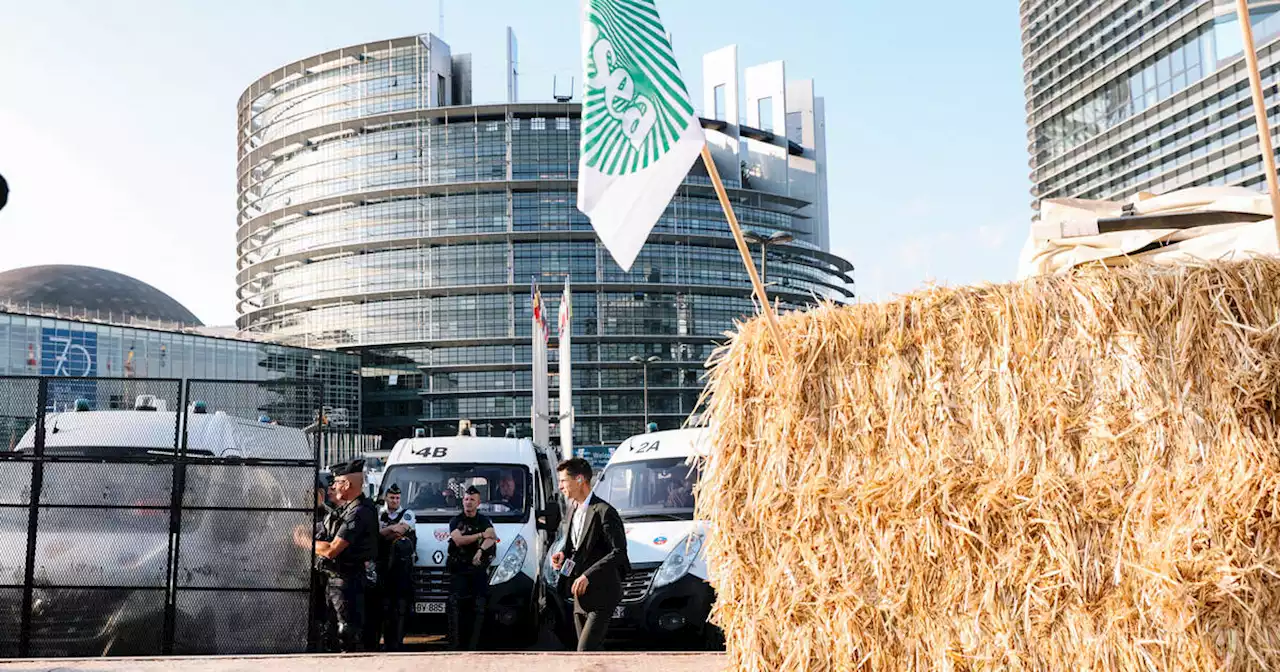 Le Parlement européen adopte la loi de restauration de la nature