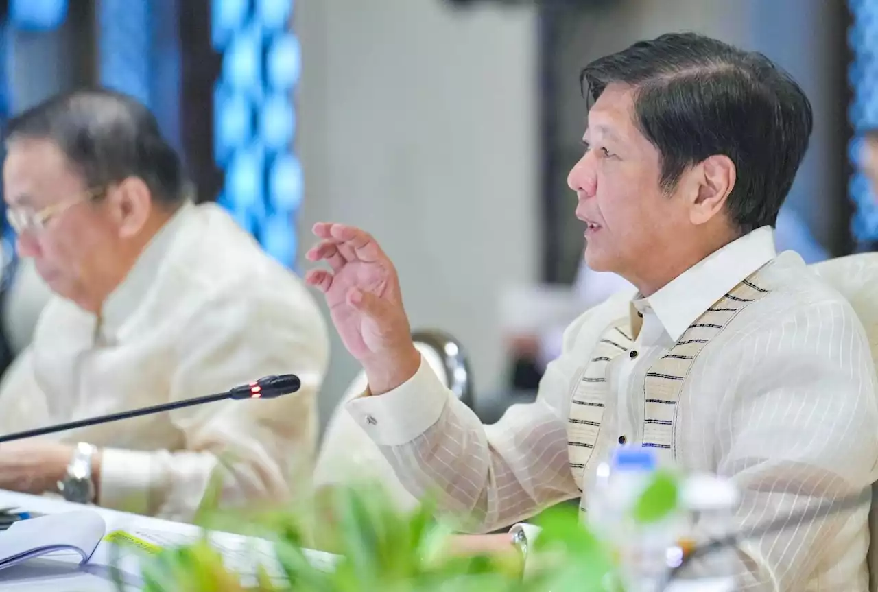 Marcos welcomes Japan's help in PH's transition to renewable energy