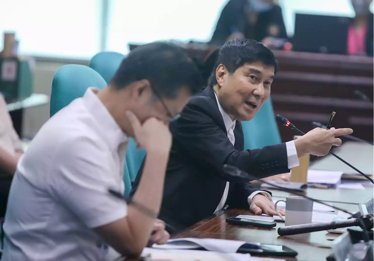 Tulfo: Review of NGCP's franchise tax is a must