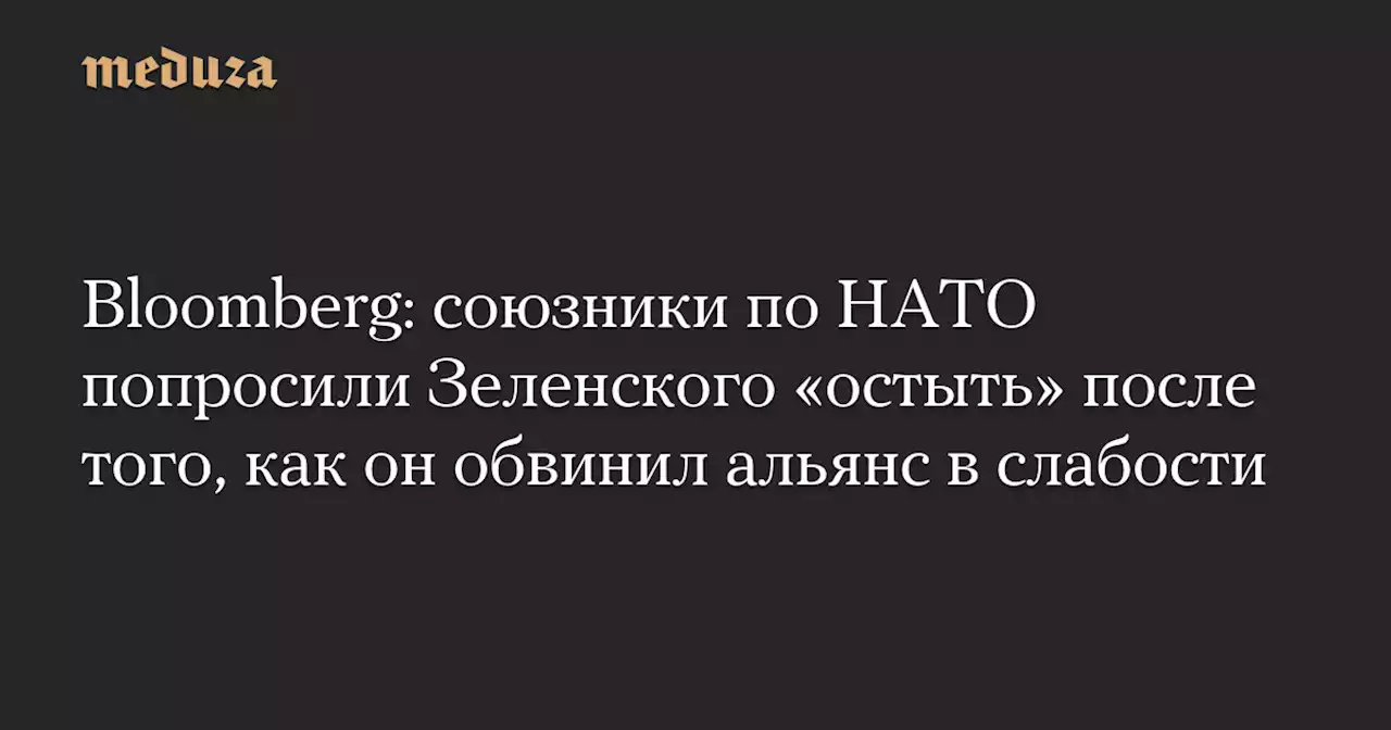 Bloomberg: союзники по НАТО попросили Зеленского «остыть» после того, как он обвинил альянс в слабости — Meduza