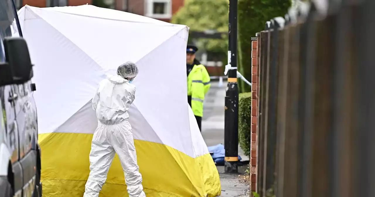 'Lovely' and 'frail' man in his 80s at centre of murder probe named