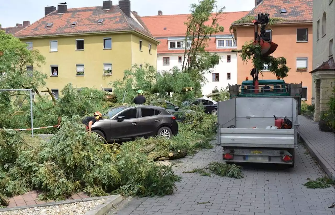 Entwurzelter Baum trifft Autos: So wütete der Sturm in Regensburg