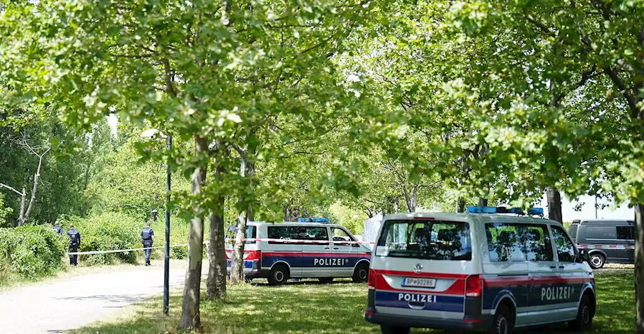 Mordalarm in Wien: Toter auf Parkbank gefunden