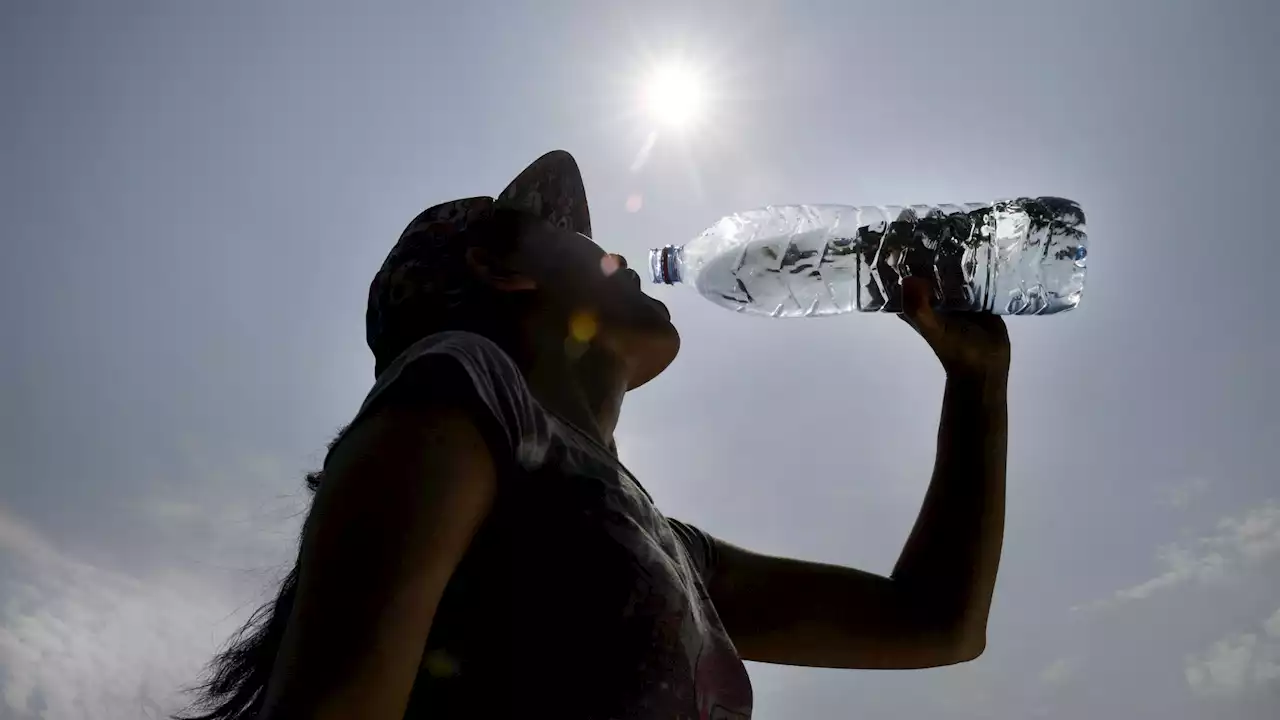 Bay Area bracing for excessive heat. Here's how to stay safe in the hot weather