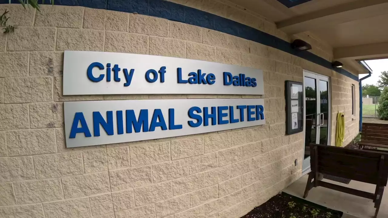 Scammers target Lake Dallas Animal Shelter's Facebook page