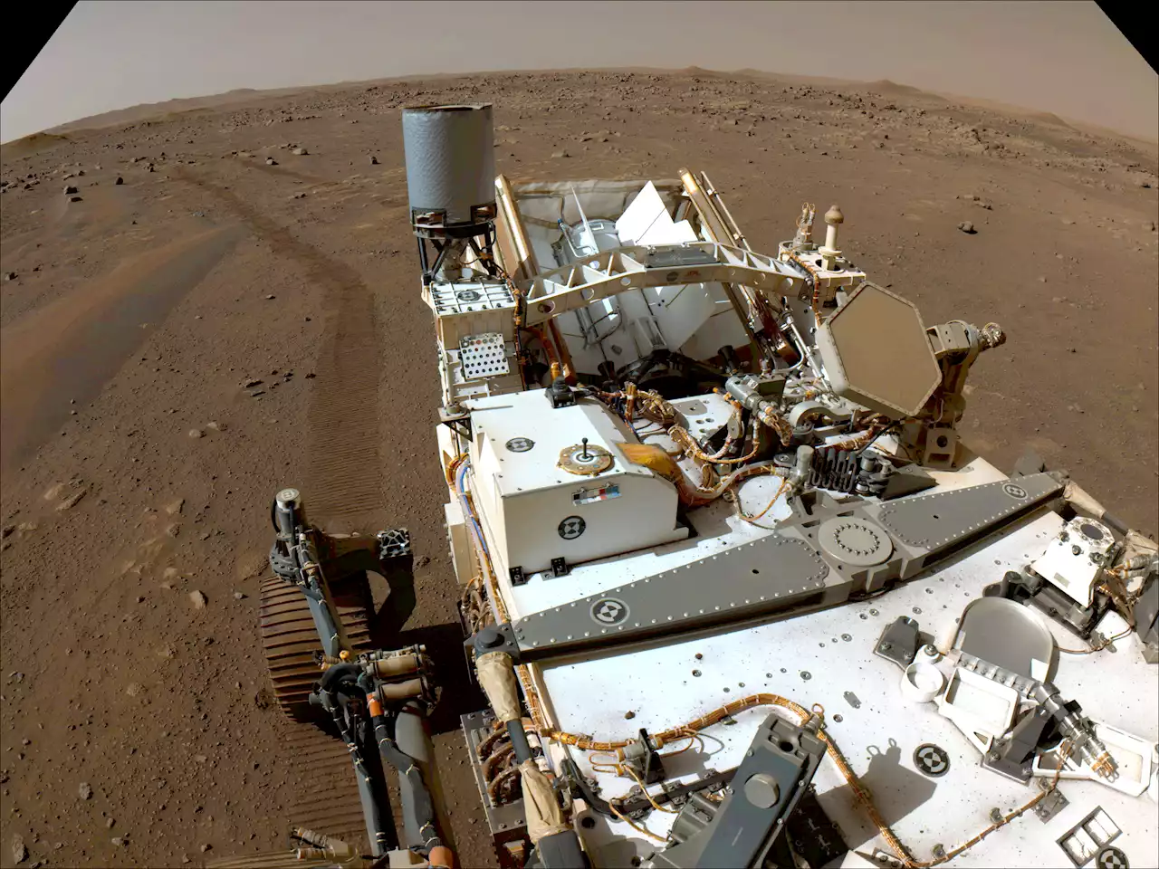 NASA's Perseverance rover discovers organic matter on Mars