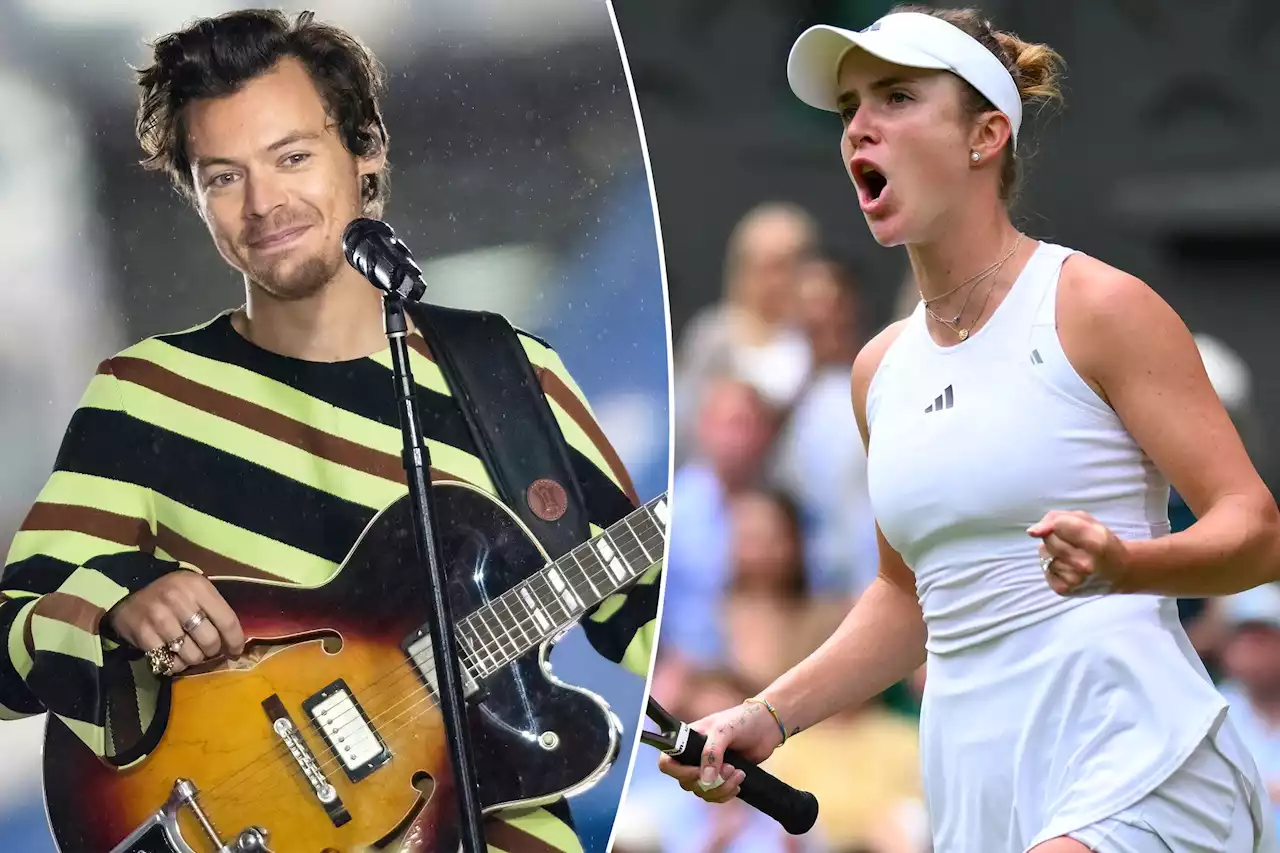 Harry Styles invites Elina Svitolina to concert after Wimbledon run halts plans