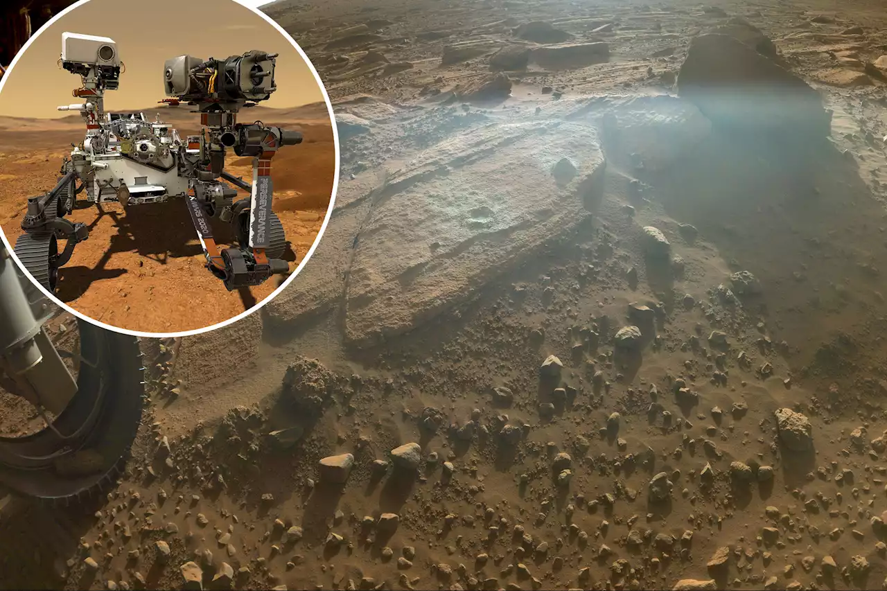 NASA discovers possible ‘key building blocks for life’ on Mars