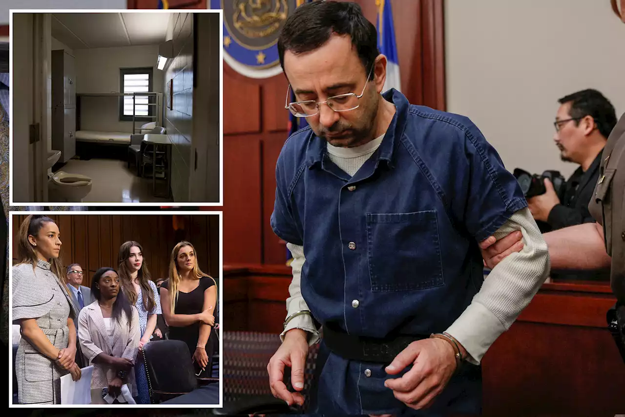 Sicko sports doc Larry Nassar was stabbed in his cell away from prison cameras: insider