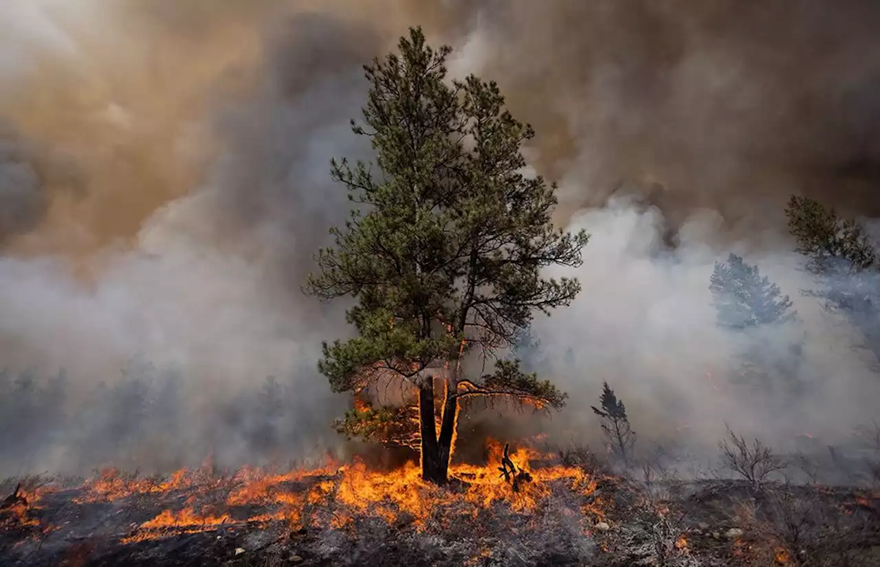 Canada: Indigenous community fights fire with fire