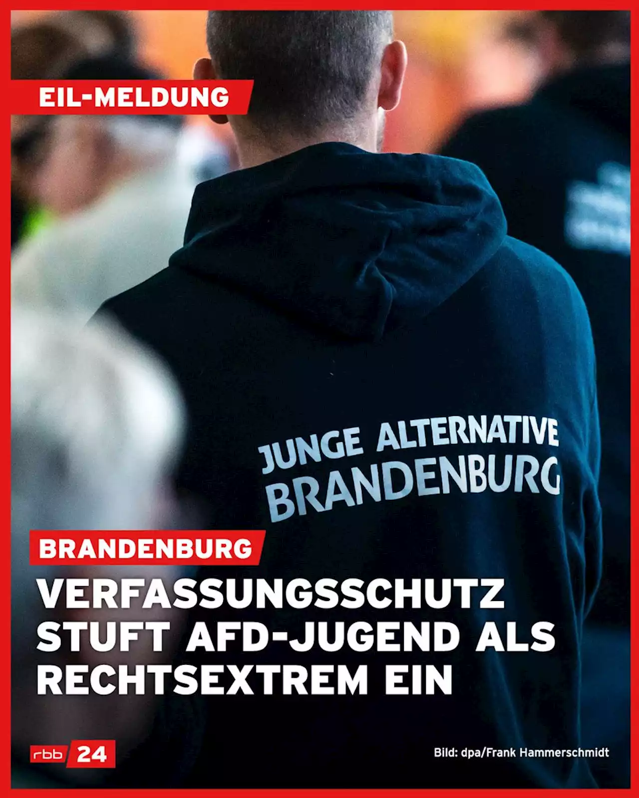 Brandenburger Verfassungsschutz stuft AfD-Jugend als rechtsextremistisch ein