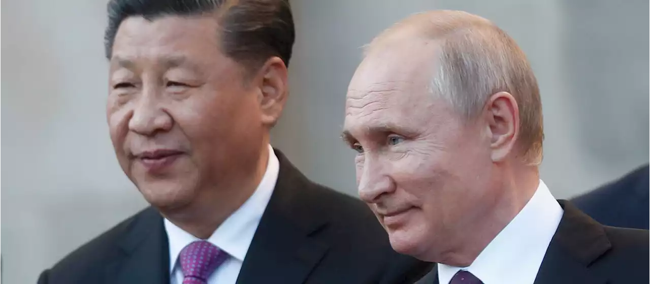 Putin planerar möte med Xi Jinping