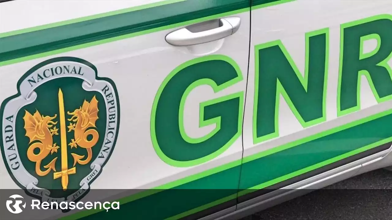 GNR encontra roupa e calçado de jovem de 22 anos desaparecido em Esmoriz - Renascença