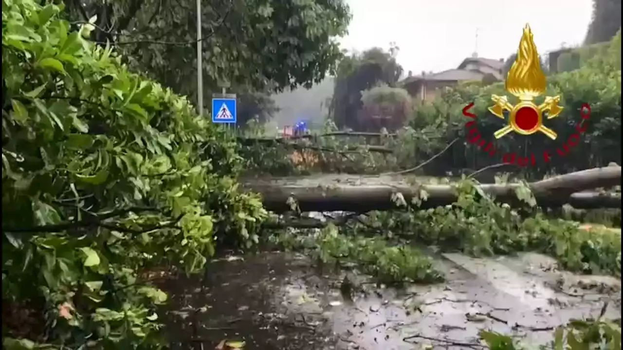 Lombardia flagellata dal maltempo dal Comasco al Varesotto. Alberi sradicati e tetti divelti. Danni all’ospedale di Tradate