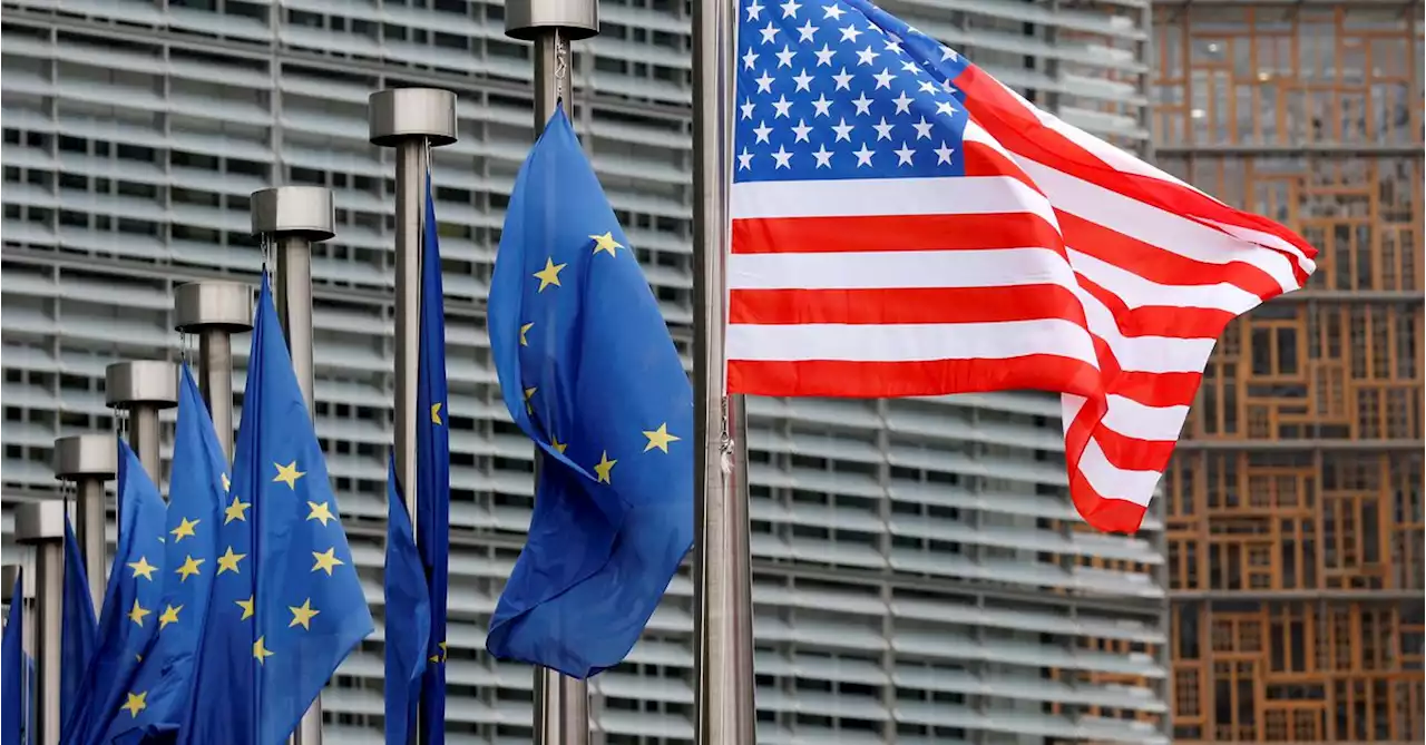 US economist picked for senior EU antitrust job overseeing Big Tech