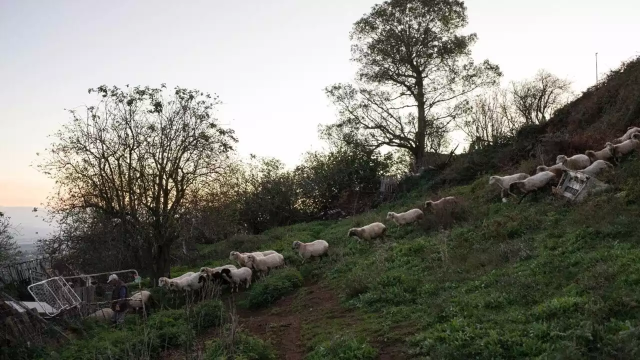 Italie: les atteintes à l’environnement par les «écomafias» en hausse, selon un rapport