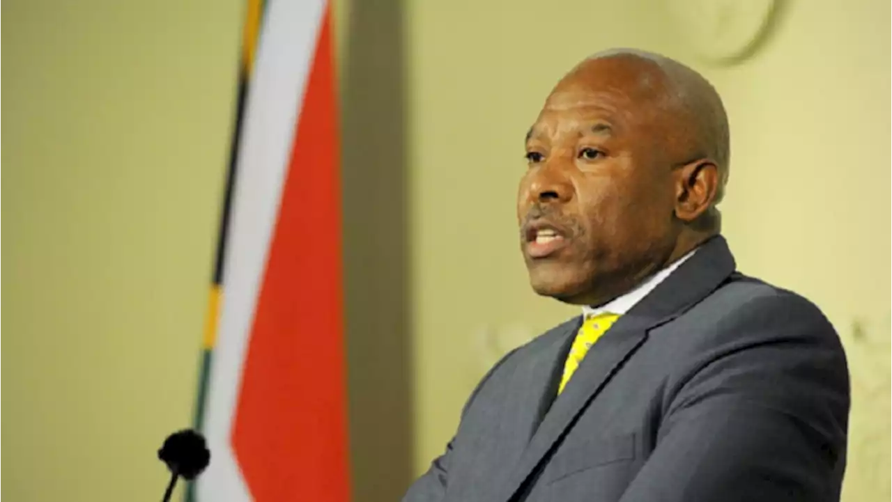 Kganyago emphasises capital flows' potential danger and utility - SABC News