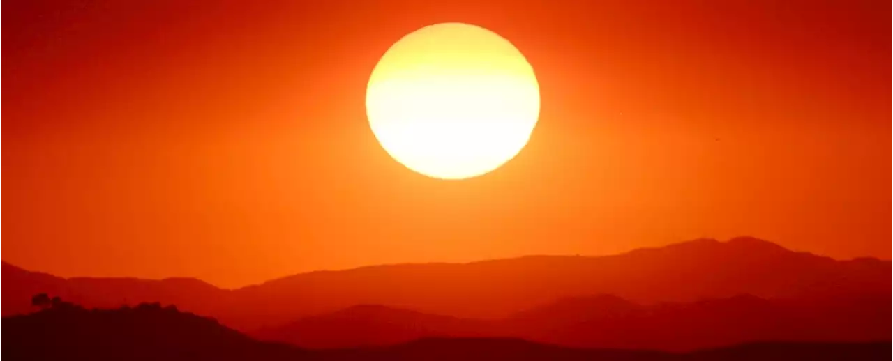 Heat in 2024 Will Probably Leap to a Whole New Level, Expert Warns