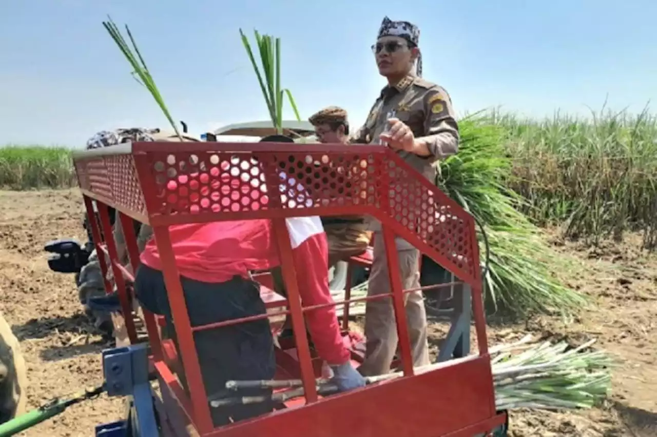 Mentan SYL Dorong Petani Tebu di Cirebon Gunakan Taksi Alsintan