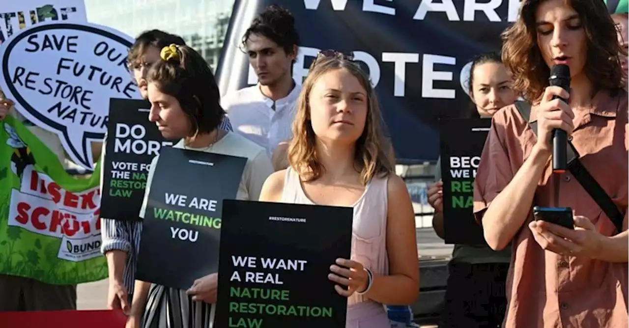 Clima, il parlamento Ue approva posizione negoziale su legge ripristino natura