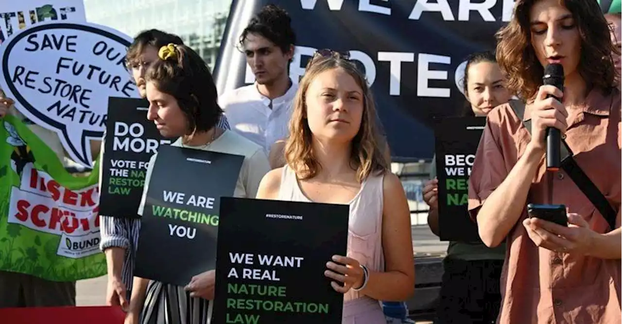 Clima, Parlamento Europeo approva la posizione negoziale sul ripristino della natura nonostante le tensioni politiche