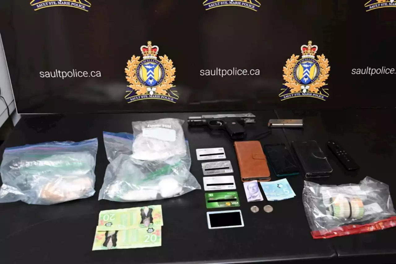 Sault cops bust southern Ontario man for guns, drugs