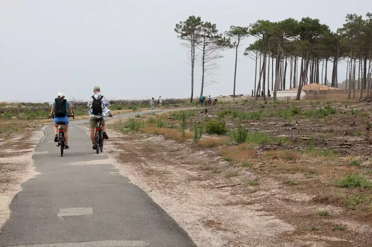 Incendies en Gironde, un an après : y a-t-il un risque de revivre les mêmes feux de forêt cet été ?