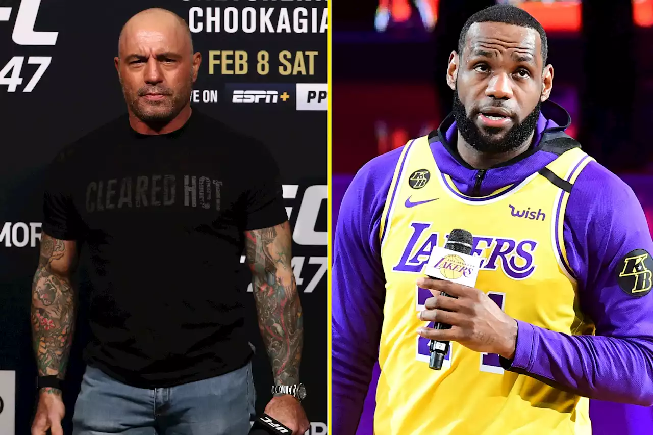 Joe Rogan said ‘everybody would be f***ed’ if LeBron James chose MMA over NBA