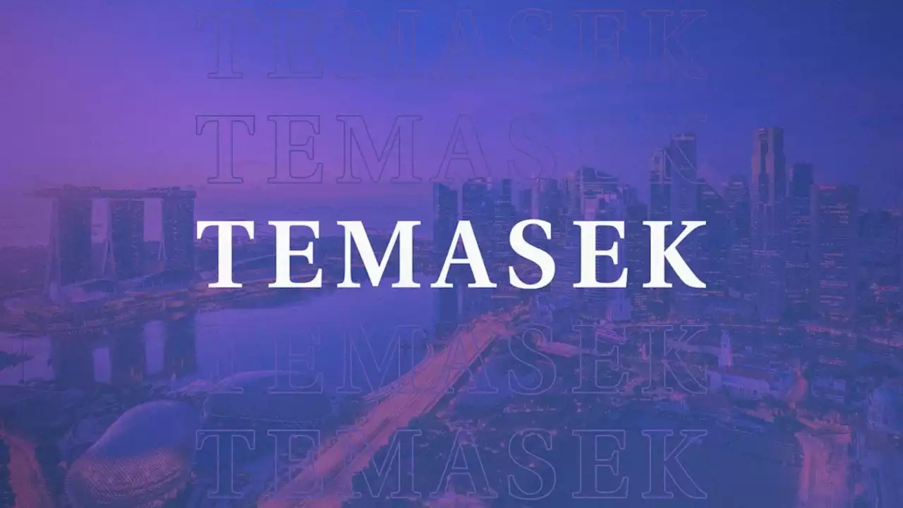 Singapore’s Temasek has no interest in crypto for now: CNBC