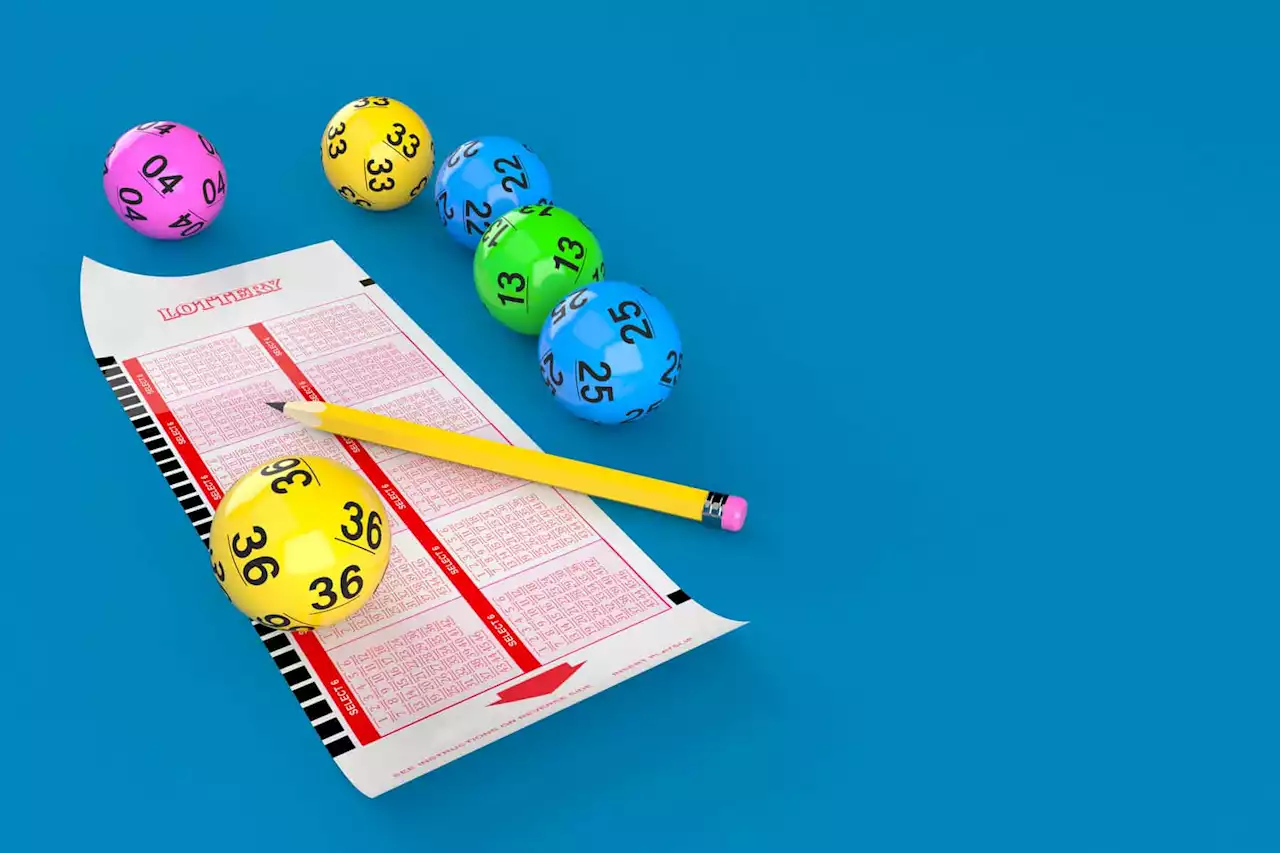 Daily Lotto results: Wednesday, 12 July 2023 | The Citizen