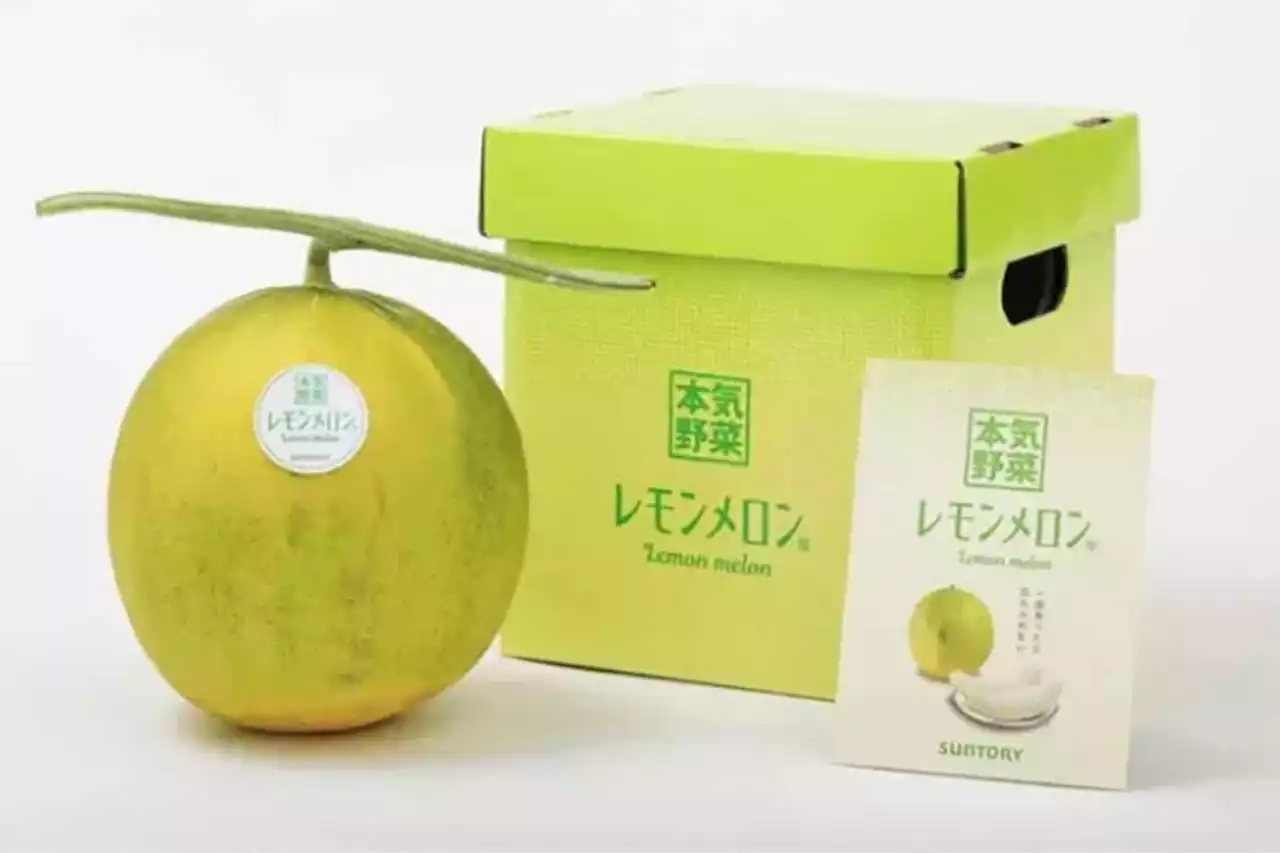 Japan's lemon melon brings a citrus twist to the juicy summer fruit | The Citizen