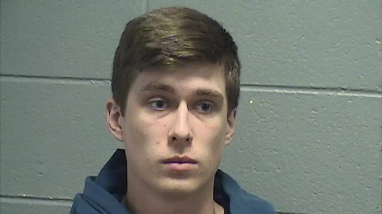 Chicago Man Accused of Brutally Killing Cats and Replacing Them With Lookalikes