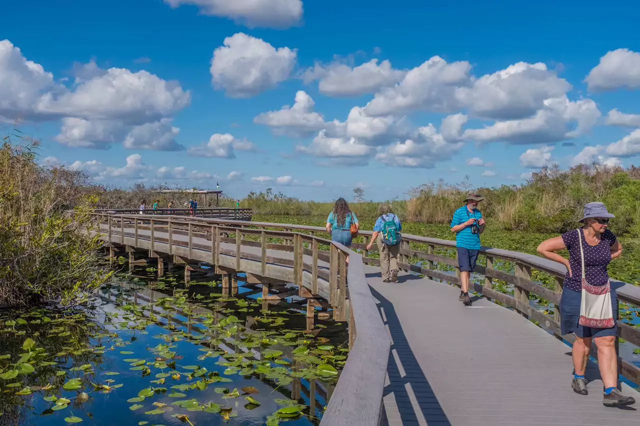 Florida’s Environmental Failure Is a Warning Sign for the U.S.