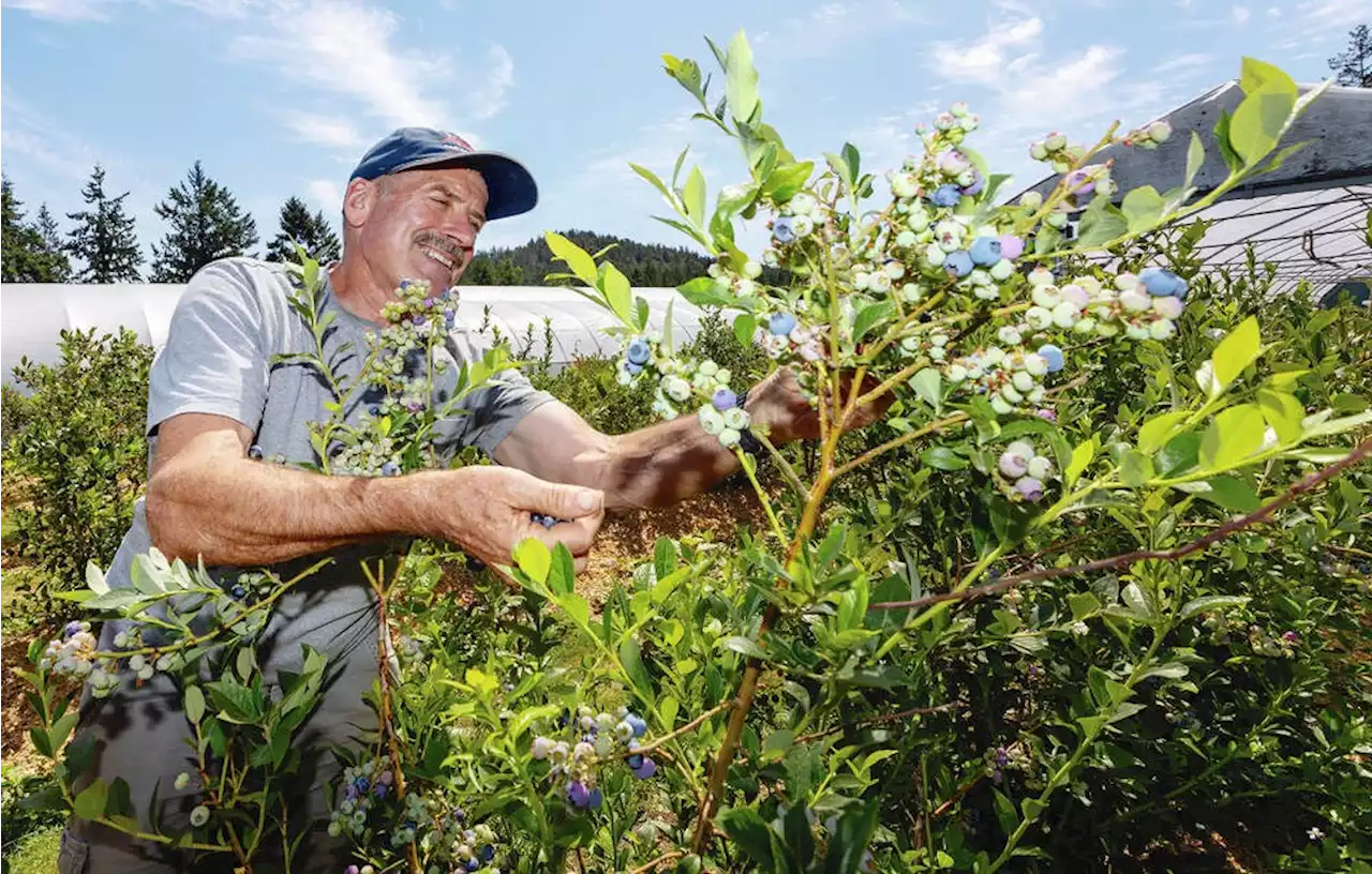 Missing the rain: Drought started in spring, no relief in sight