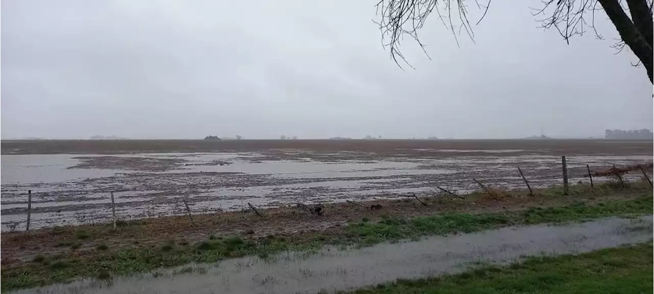 Cómo impactan las últimas lluvias en las diferentes zonas agrícolas del país