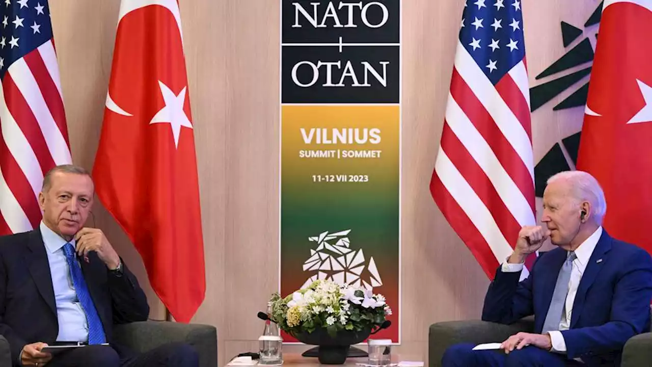 Erdogan, Biden discuss defence priorities at NATO summit in Vilnius