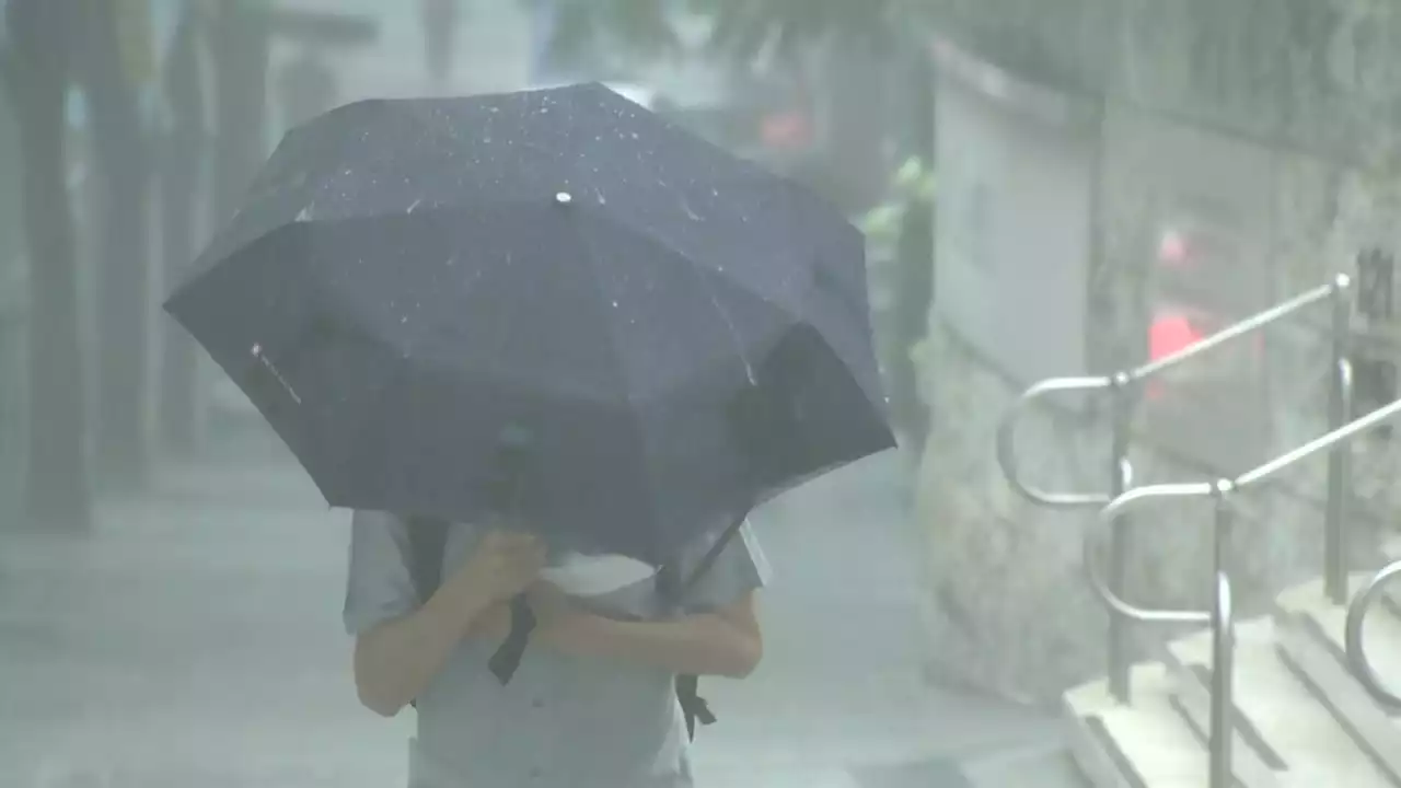 [날씨] 남해안 호우경보...오늘도 남부 최고 100mm 이상 강한 비